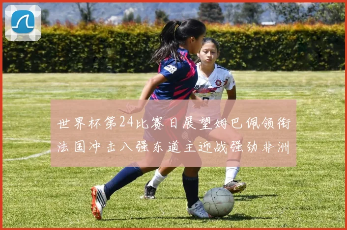 世界杯第24比赛日展望姆巴佩领衔法国冲击八强东道主迎战强劲非洲对手